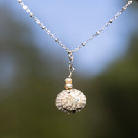 Sterling Silver Seashell + Pearl Necklace-Roxy + Jade