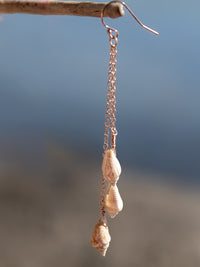 Seashell Trio Earrings
