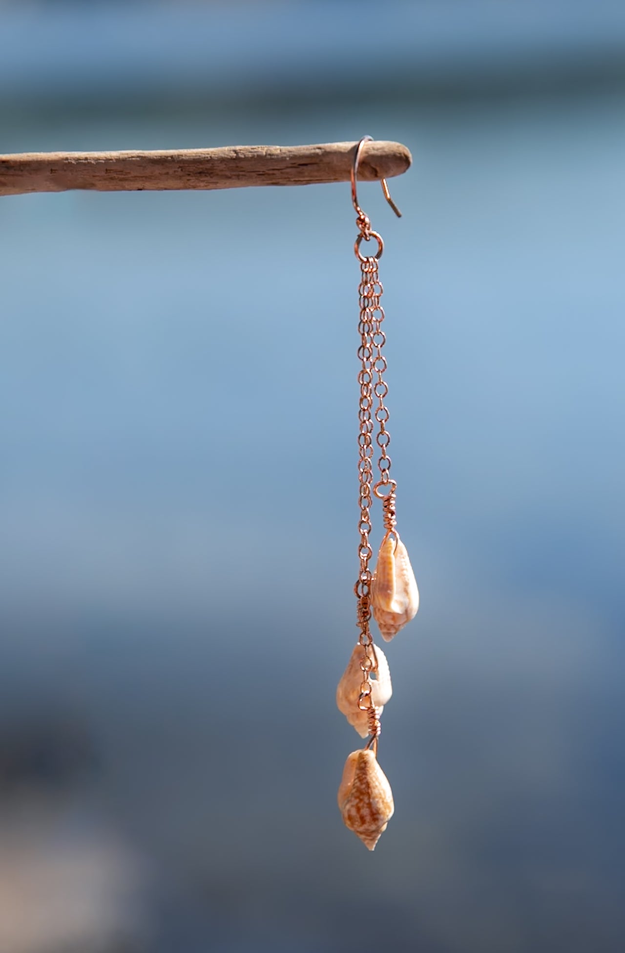 Seashell Trio Earrings