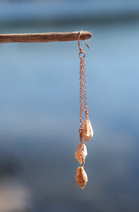 Seashell Trio Earrings